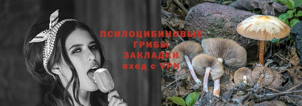 ECSTASY Абаза
