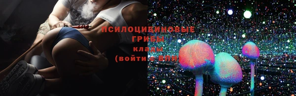 ECSTASY Абаза